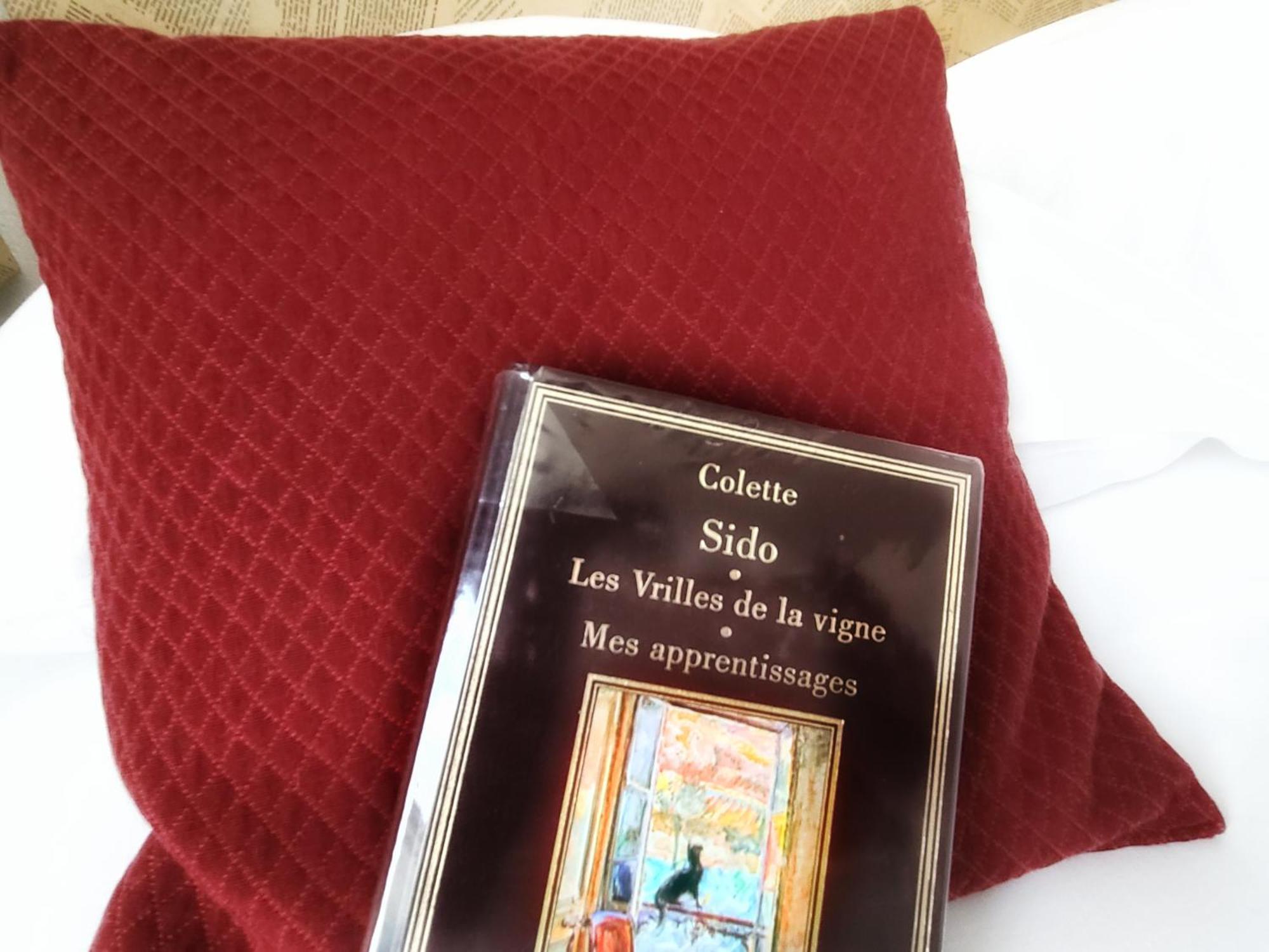 Hotel Mille Et Une Feuilles La Charité-sur-Loire المظهر الخارجي الصورة